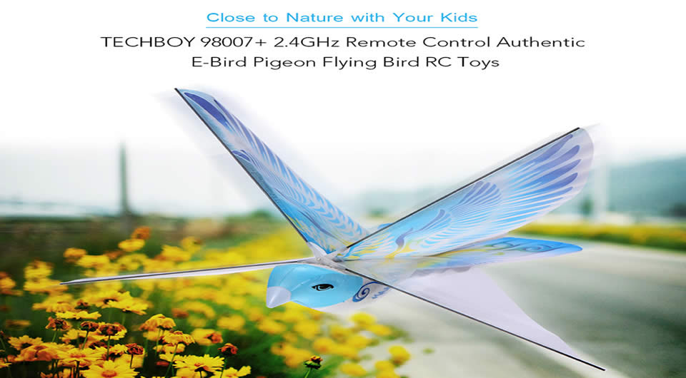 techboy-98007-e-bird-rc-toys